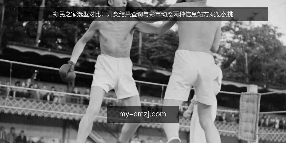 彩民之家选型对比:开奖结果查询与彩市动态两种信息站方案怎么挑 — 先定采购标准:什么才算必备 配图
